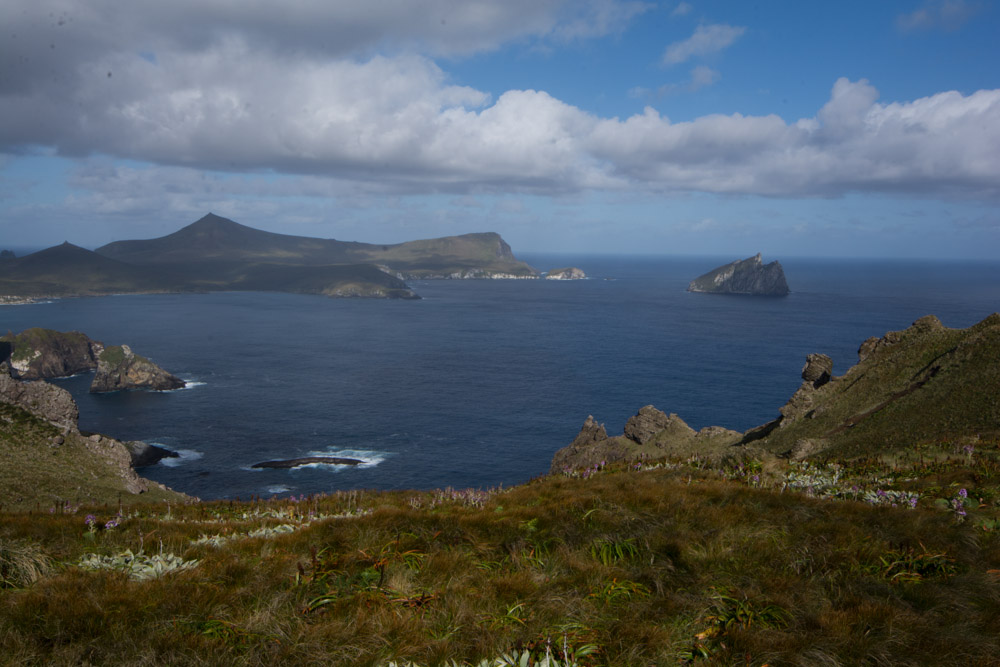  Campbell Island a New Zealand sub Antarctic Island