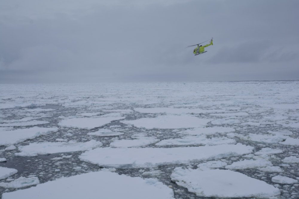 Sea ice at Cape Adare 