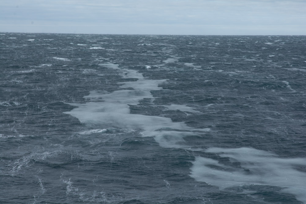 Grease ice forming on rough seas, in the Ross Sea