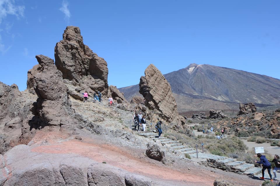 30724558_1695929837153521_2259732871684030464_n