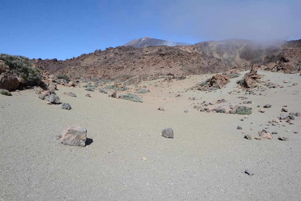 31069054_1695929657153539_4952952145398726656_n