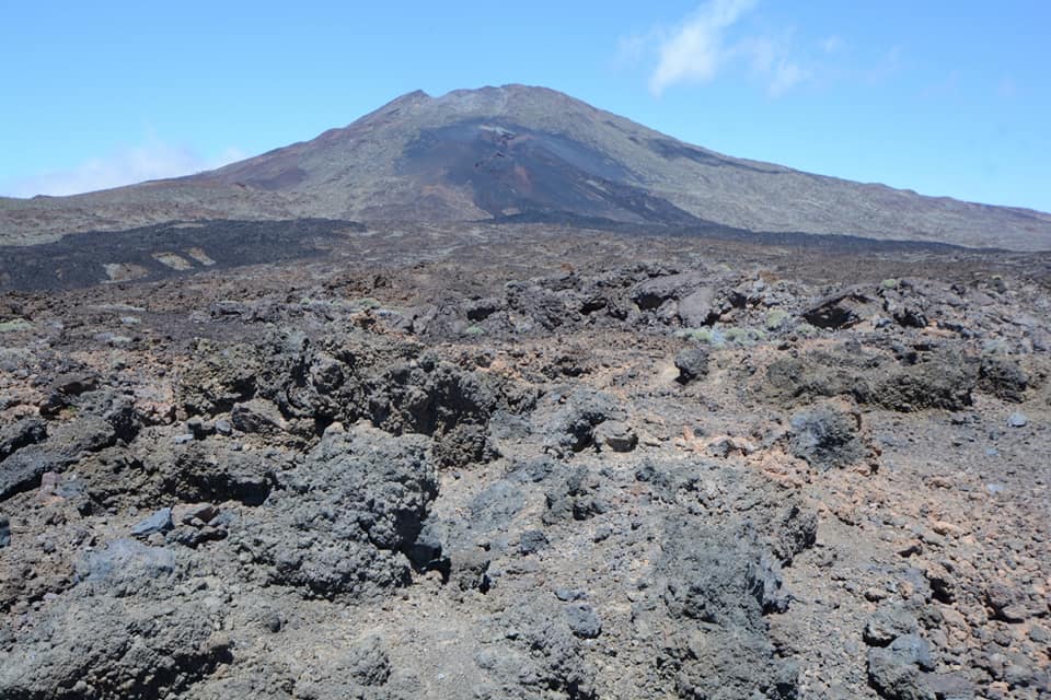 31124362_1695930190486819_1432166564362190848_n