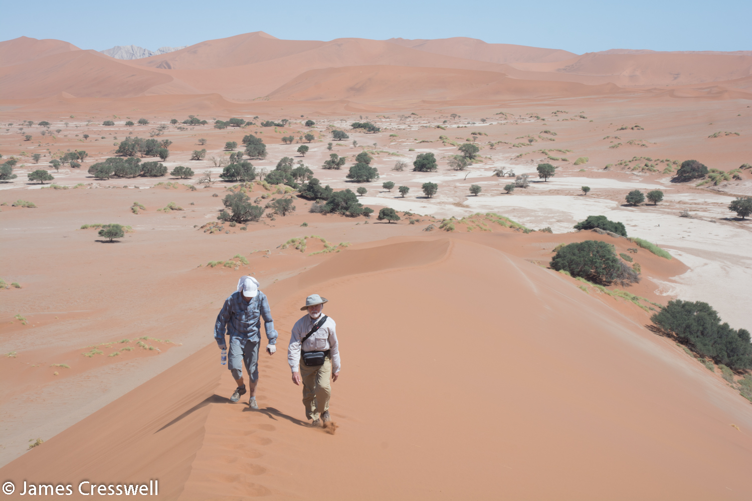 Climbing the Sossusvlei dunes in the Namib Desert