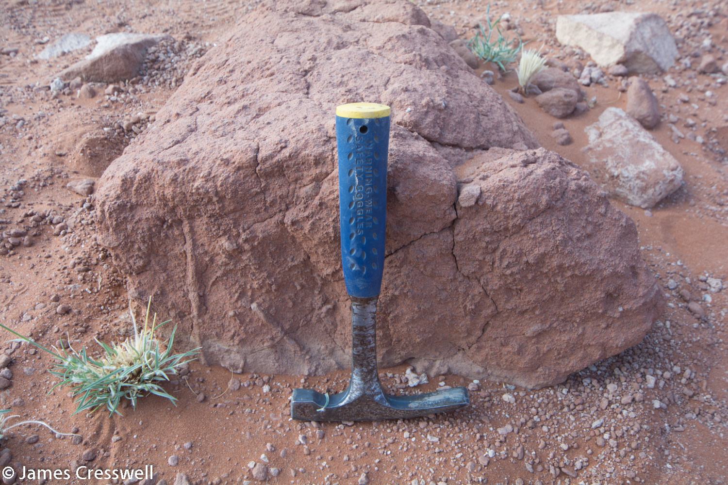 A burrow or plant root structure going through the 20ma dune sandstone.