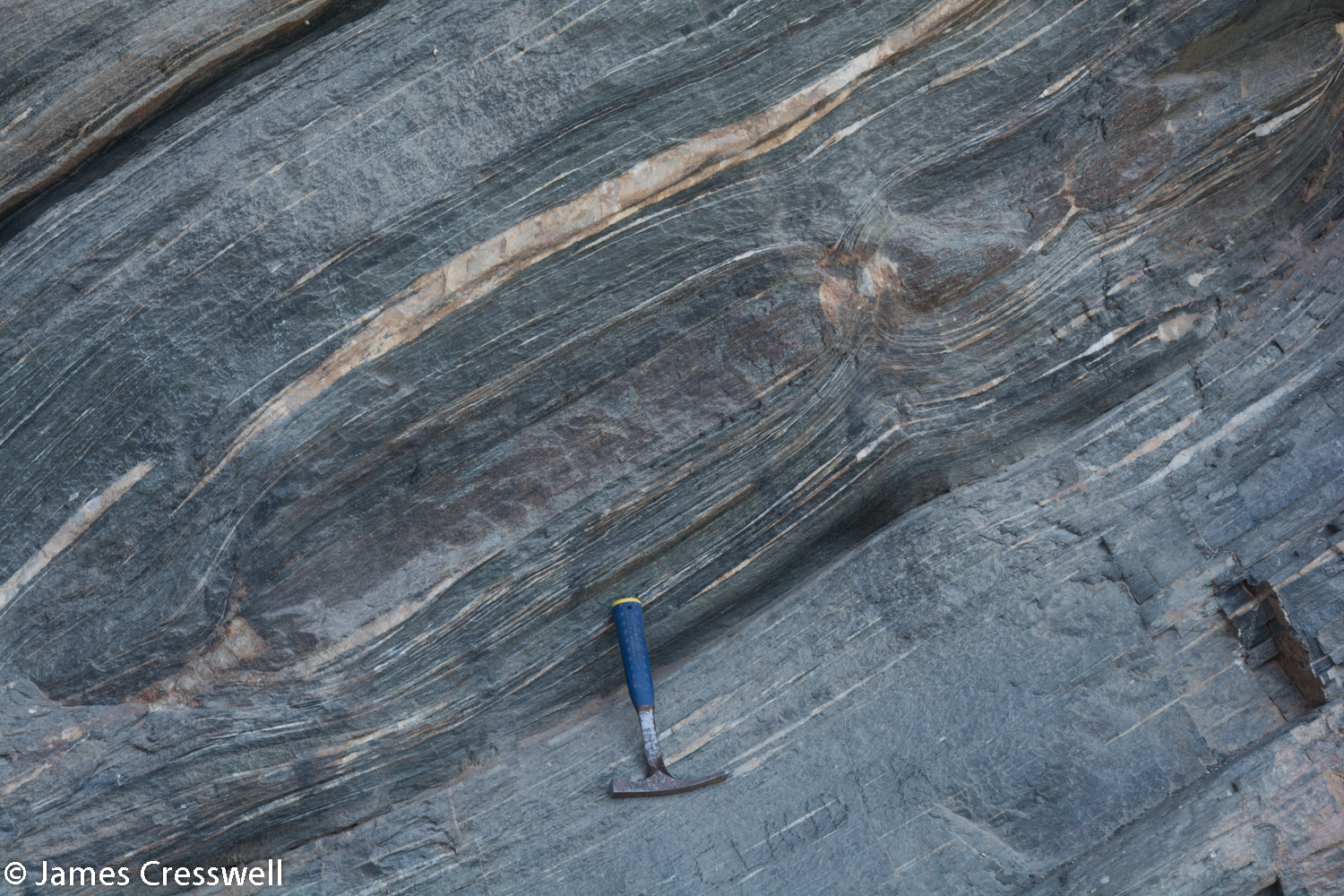 Boudins in amphibolite, Namibia