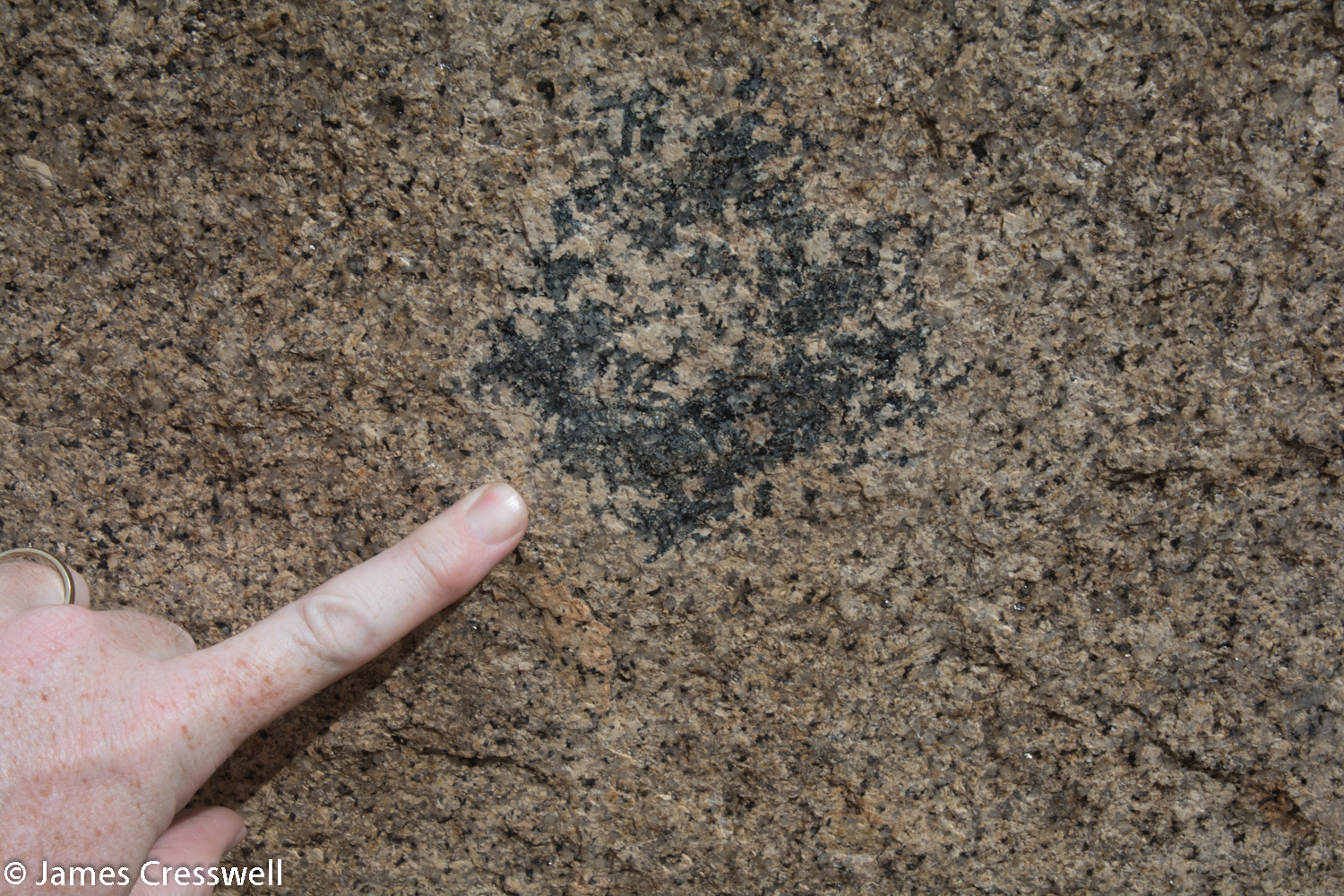 A nest of tourmaline crystals within the granite, at the Erongo Volcano, Namibia.