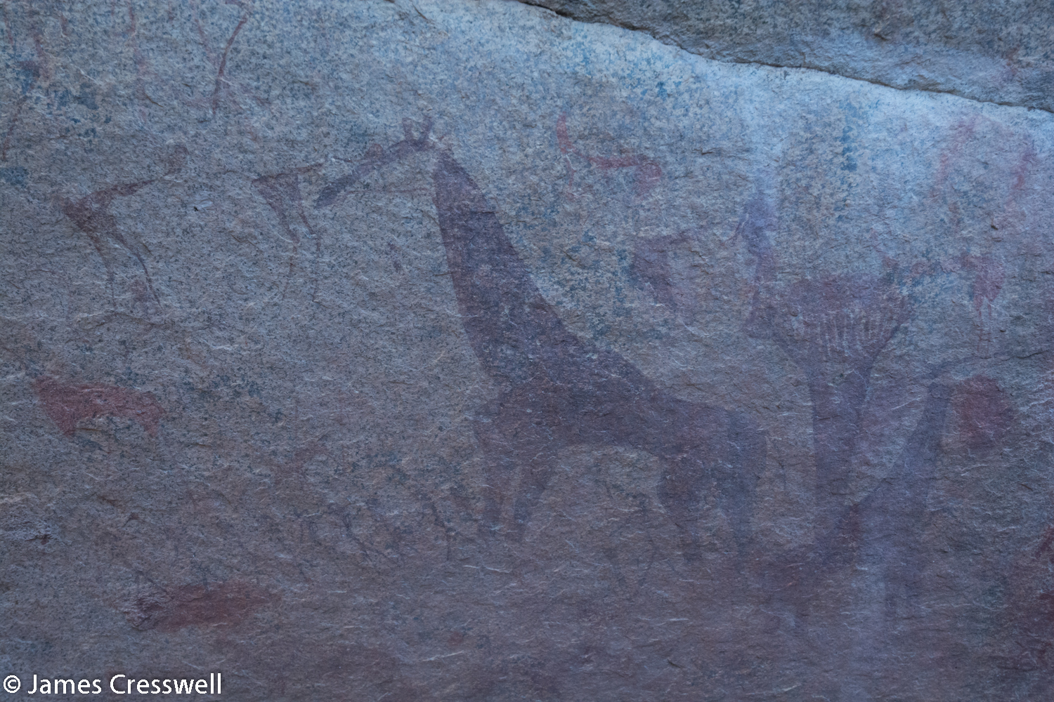 Prehistoric rock art, Erongo, Namibia