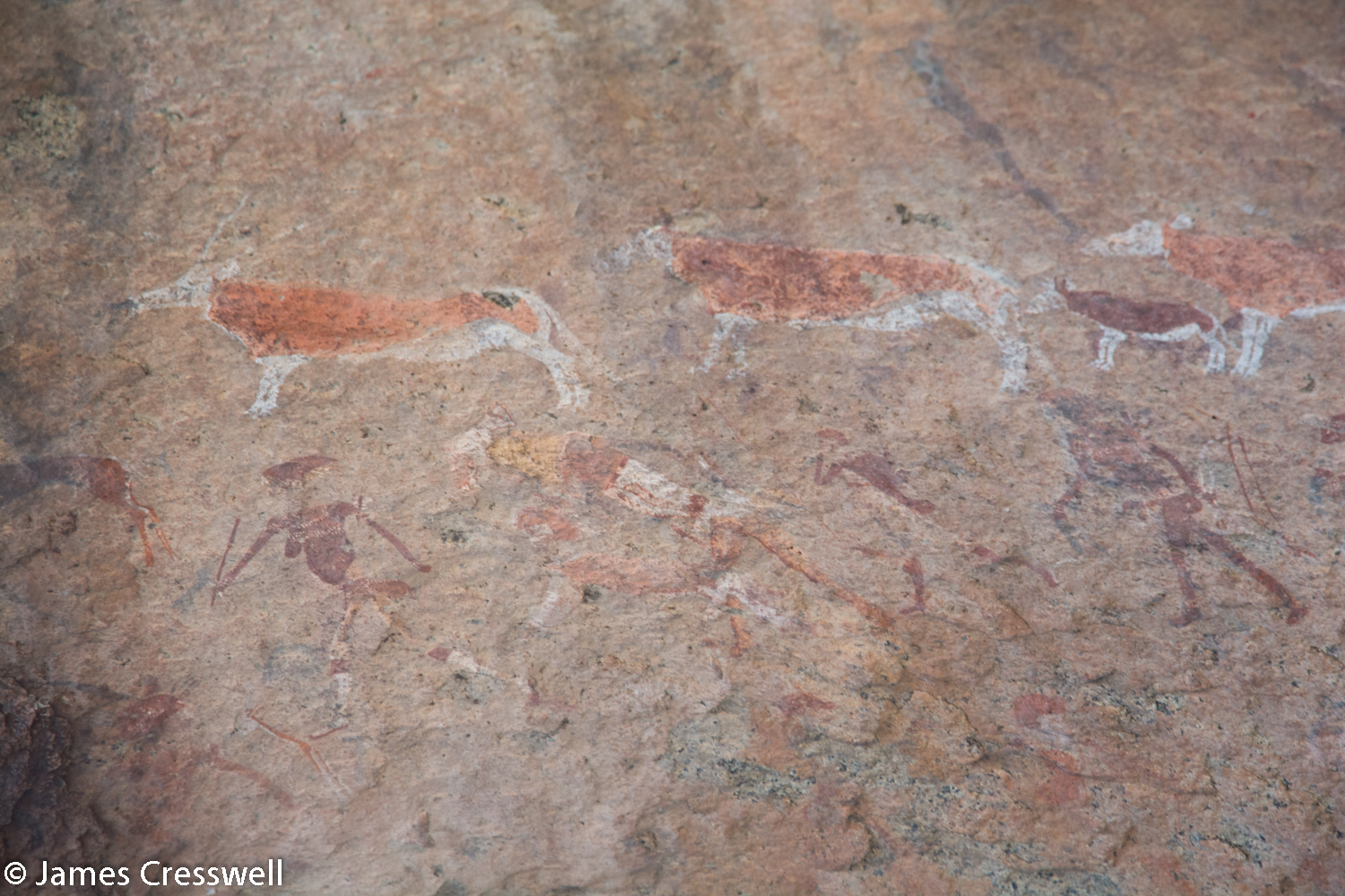 2000 year old rock art, Brandberg, Namibia