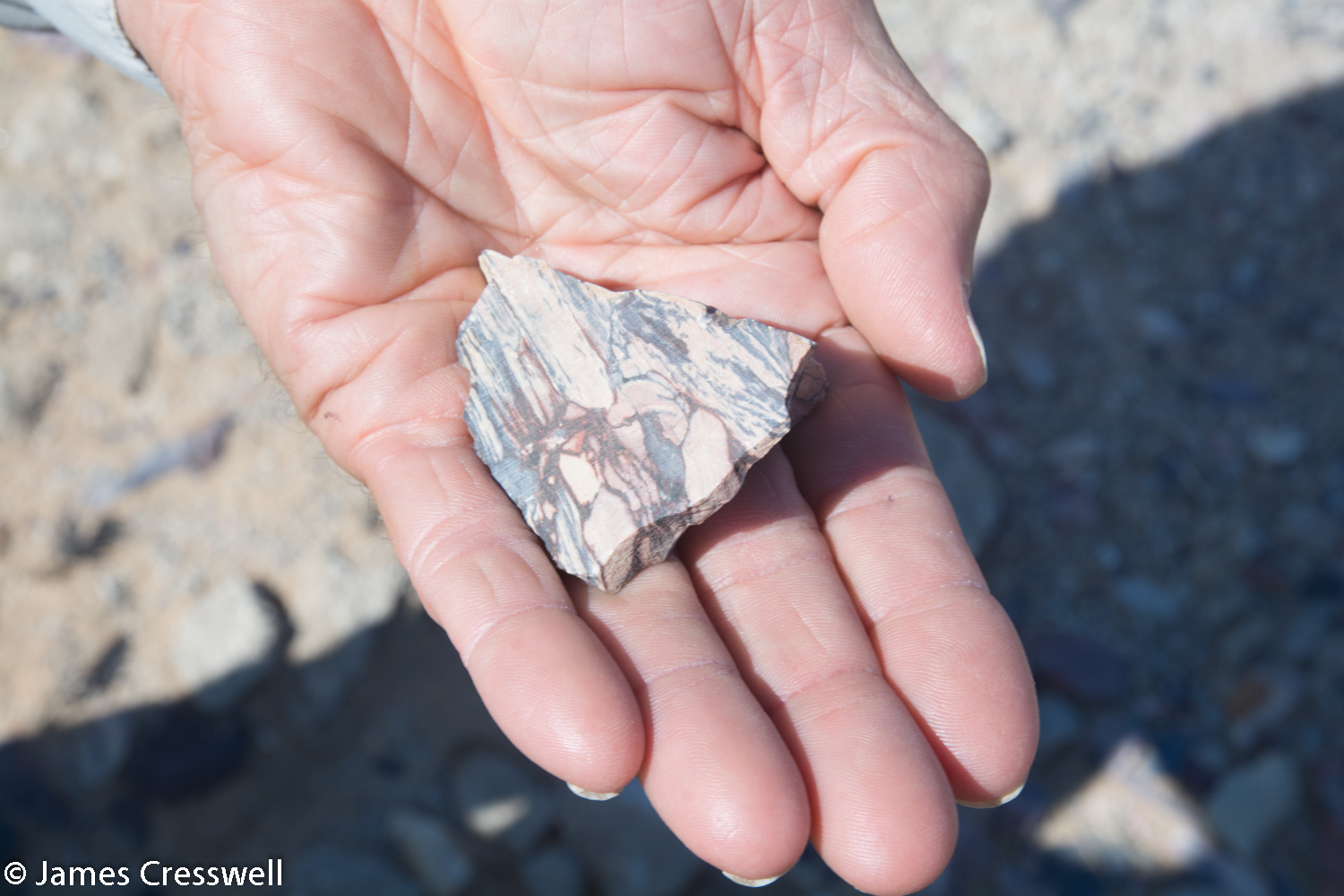 Pyrophyllite it is a metamorphic rock (a hornfel) that was once a lacustrine Karoo sediment. It was brecciated (broken up) by the Brandberg granite busting through and was contact metamorphosed. It forms a beautiful rock that was once mined as ornamental stone. Namibia.