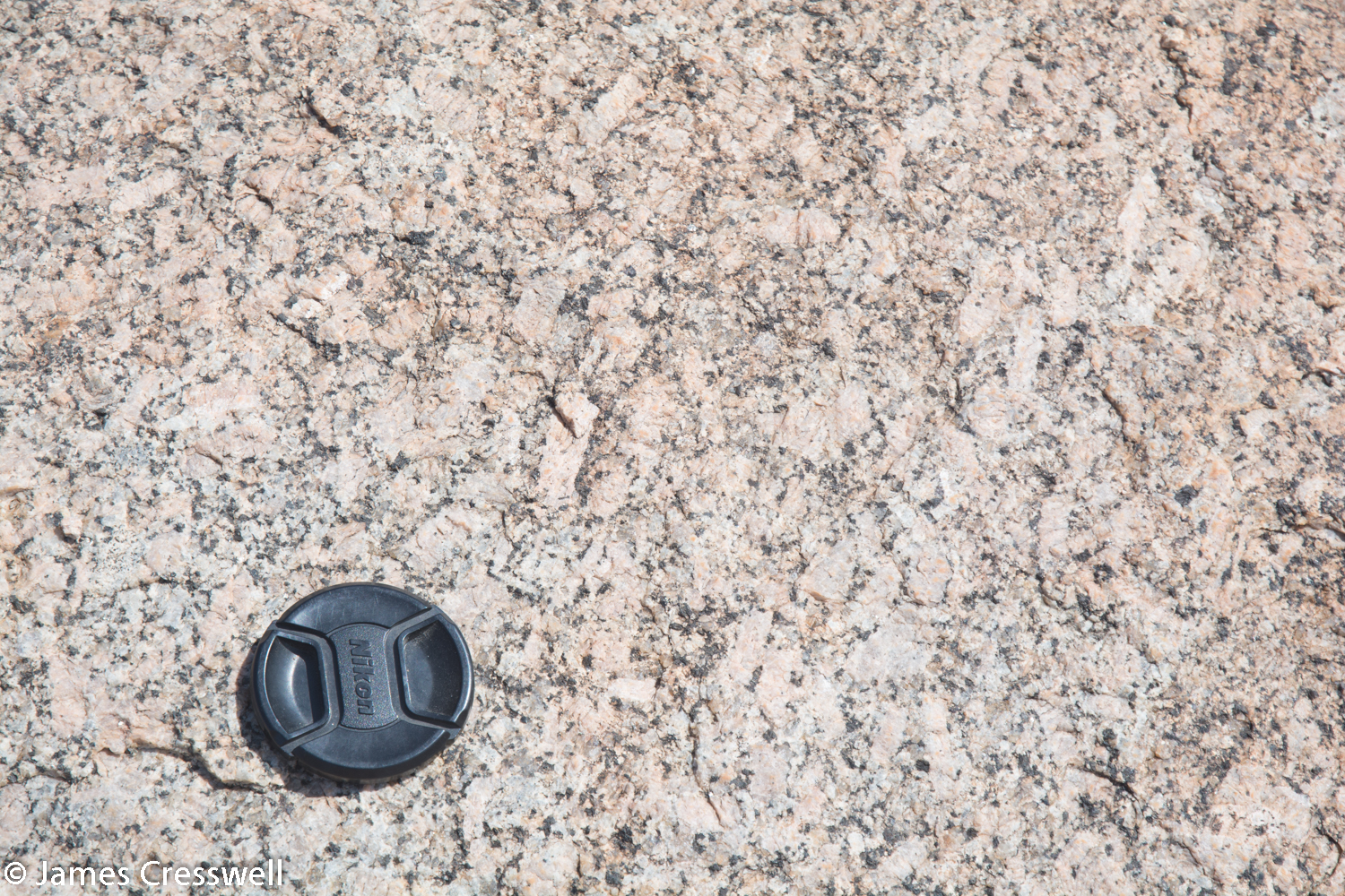 A syntectonic granite with large feldspar crystals orientated to the stress field. The granite is around 600ma.