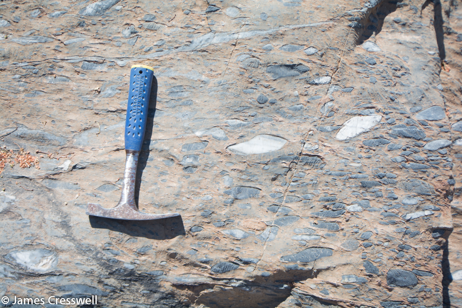 Dropstones: pebbles that were dropped out of iceshelves or icebergs 630ma, during a period of time known as Snowball Earth, when the whole planet was glaciated. These pebbles were then stretched and deformed as the Damara mountains uplifted.