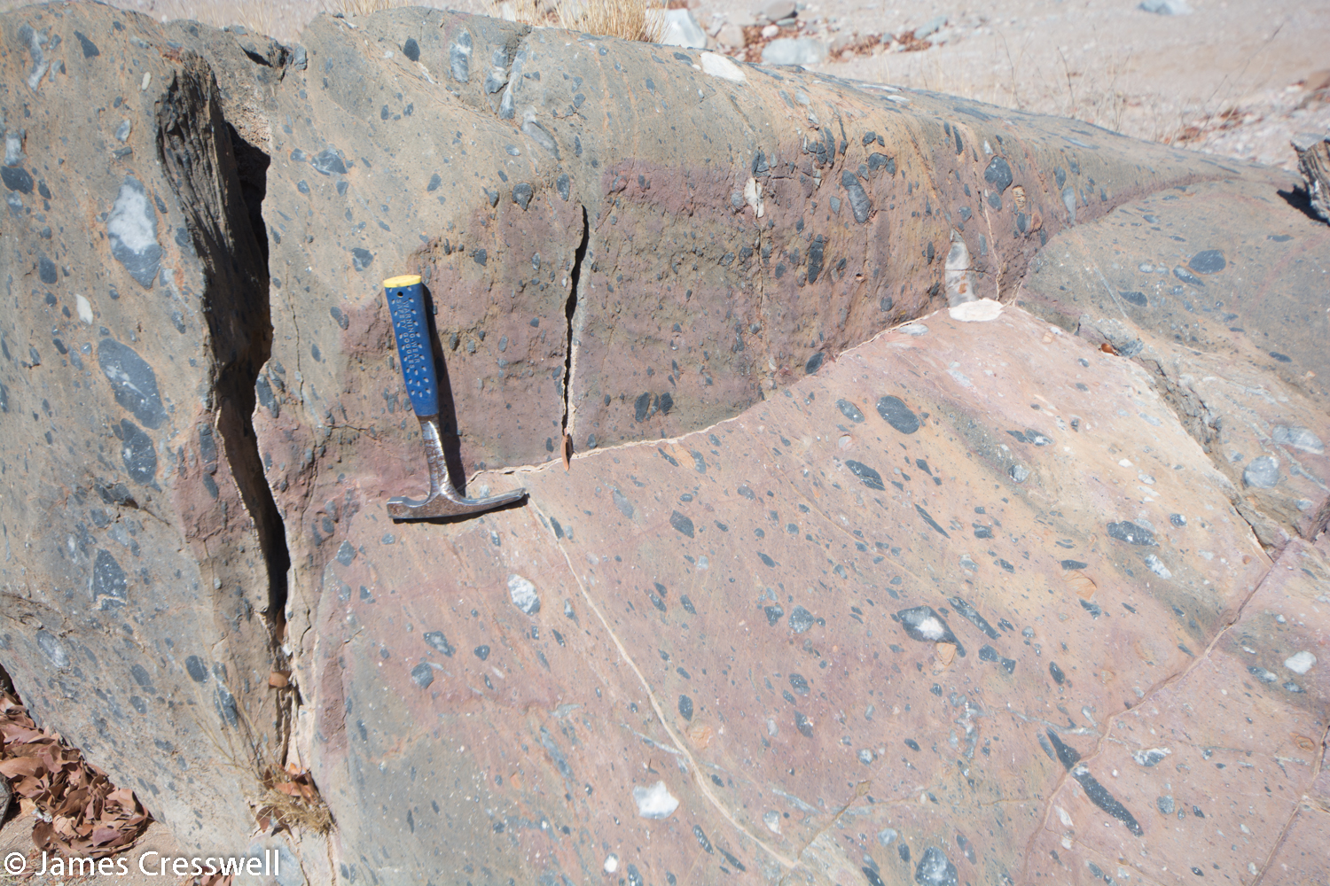 Dropstones: pebbles that were dropped out of iceshelves or icebergs 630ma, during a period of time known as Snowball Earth, when the whole planet was glaciated. These pebbles were then stretched and deformed as the Damara mountains uplifted.