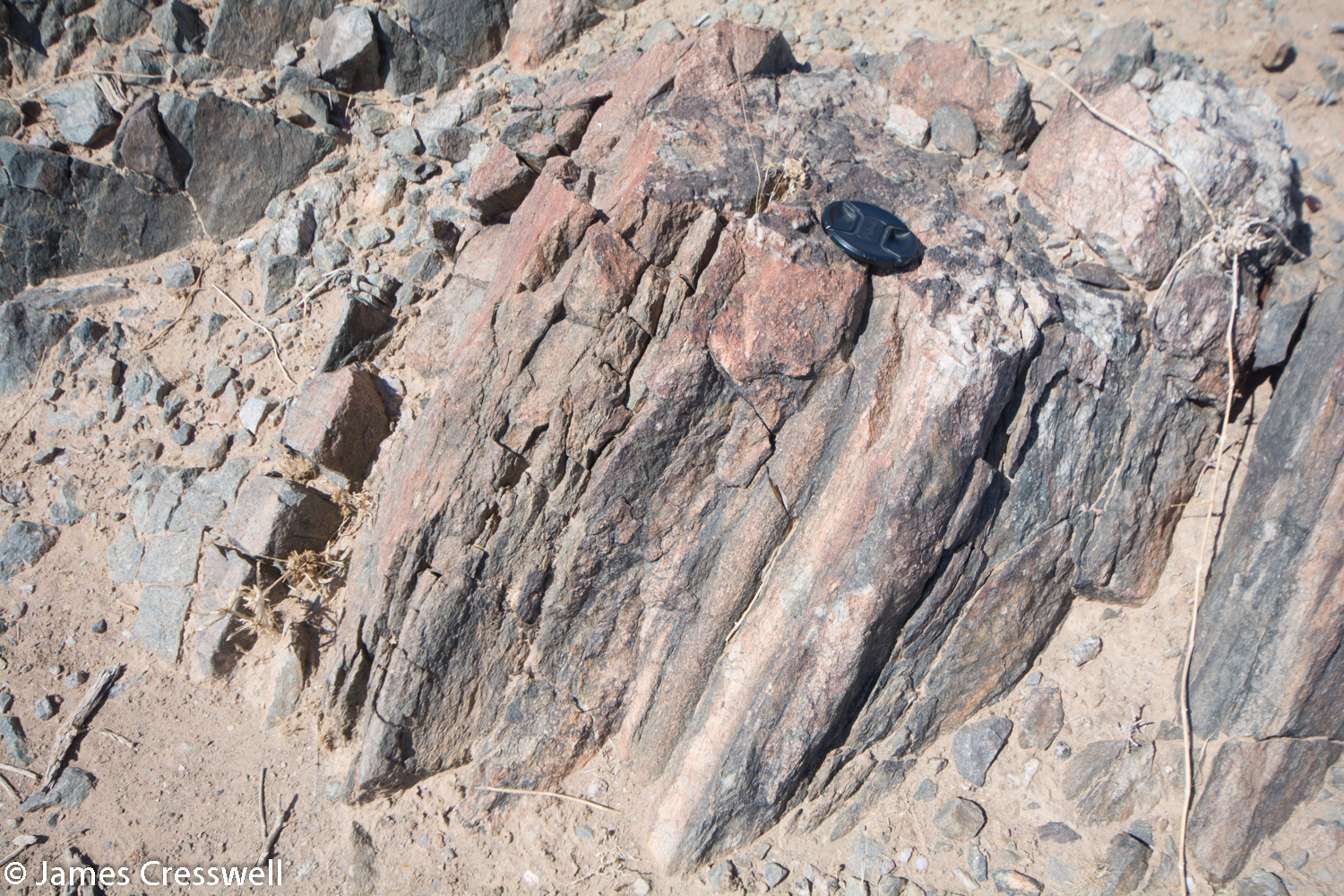 The oldest rock of the trip, a 2.2 billion year old paragneiss of the Congo Craton.