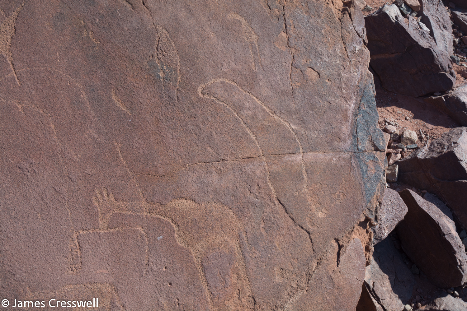4-8,000 year old rock engraving at the Twyfelfontein World Heritage Site, of not only a giraffe, but also a fur seal and penguin showing that people travelled to the coast 200km away.