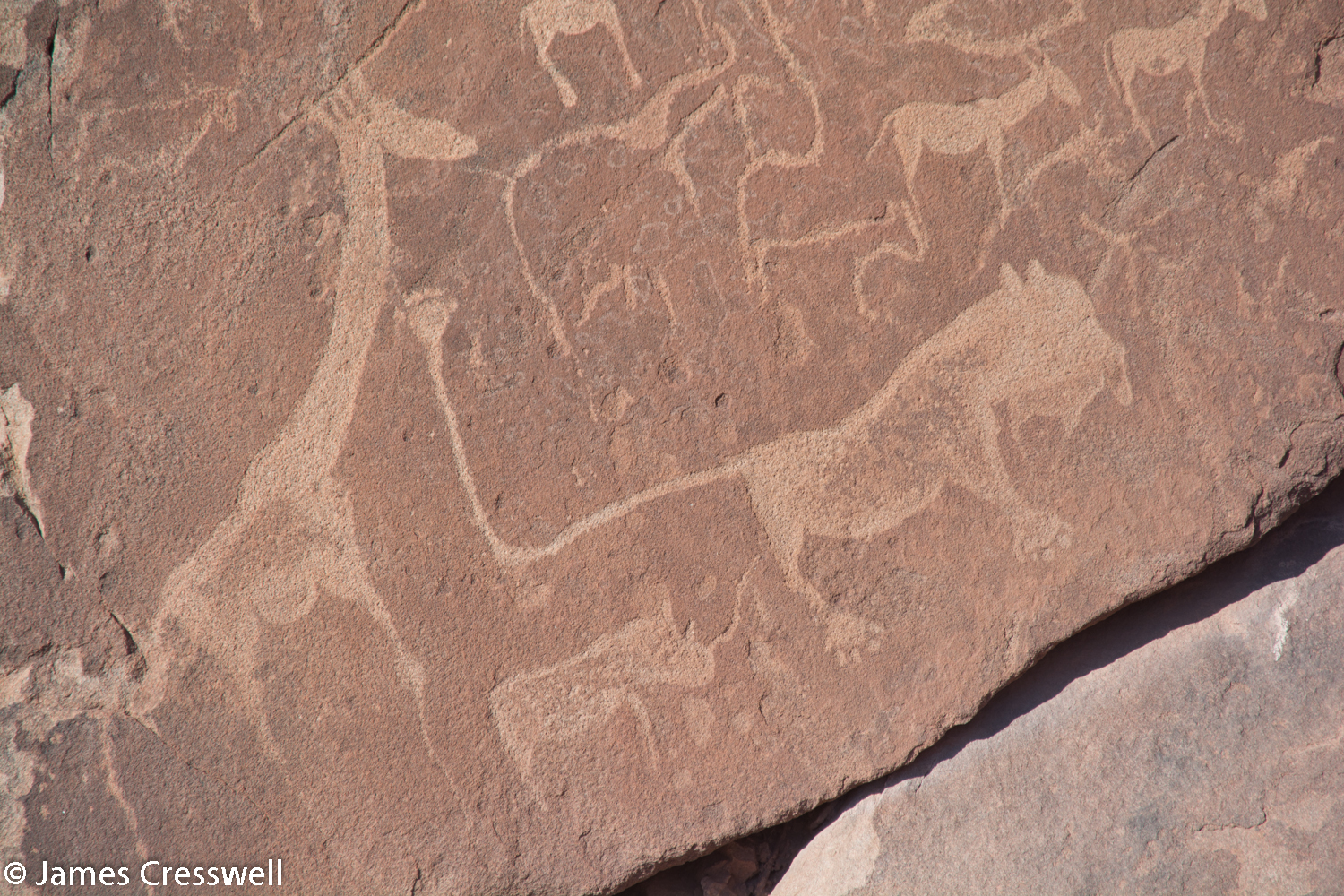 4-8,000 year-old rock engraving at the Twyfelfontein World Heritage Site. The most famous engraving is the 'Man-lion'