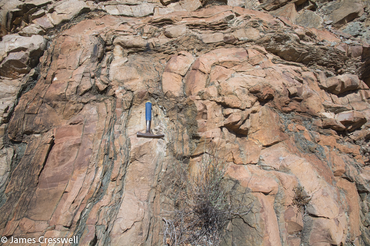 Folding in the carbonate rocks just above the Naukluft thrust fault