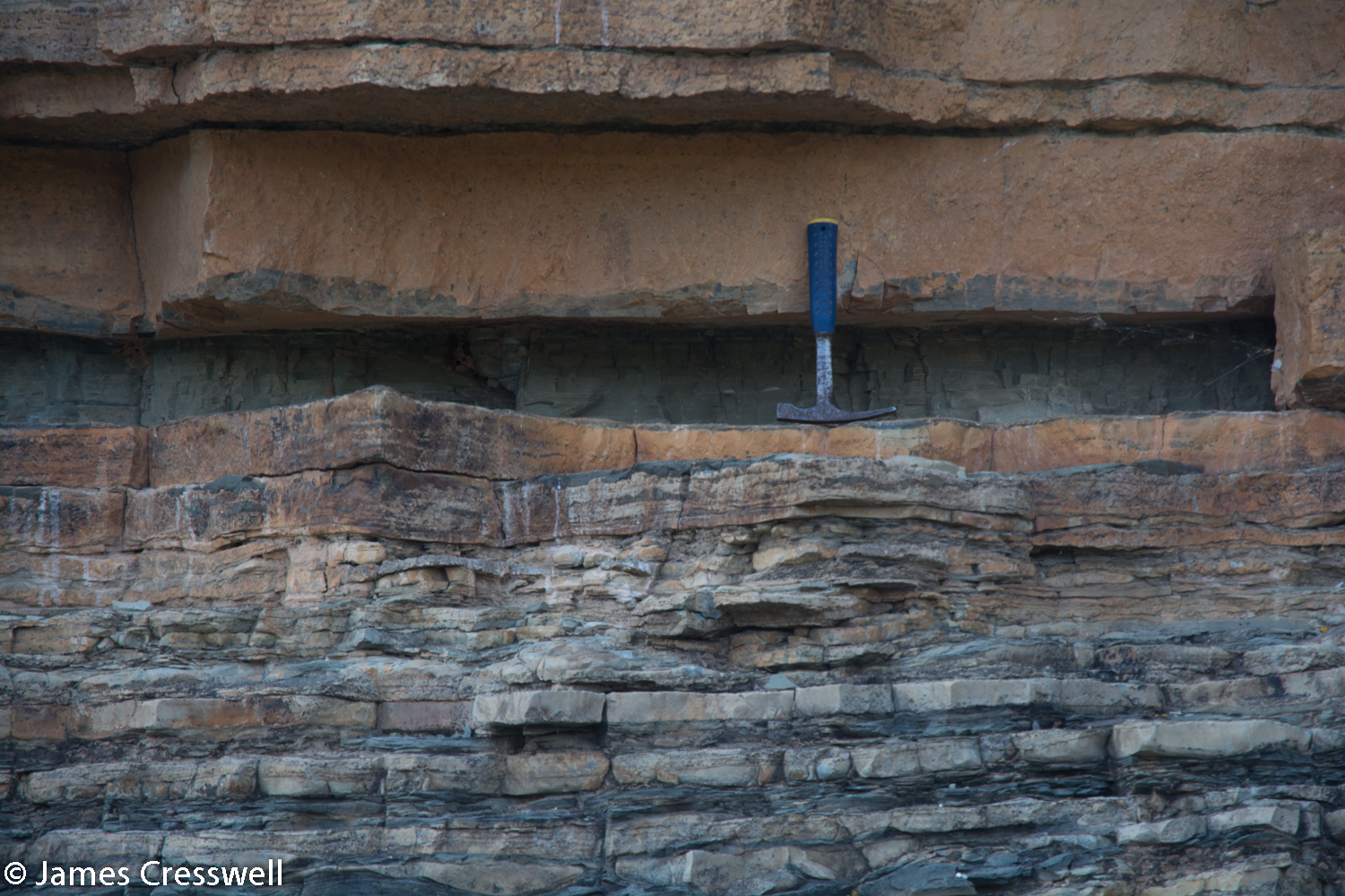 The ash layer just beneath the Namacalathas fossils which has allowed them to be dated as the oldest shell fossils in the world