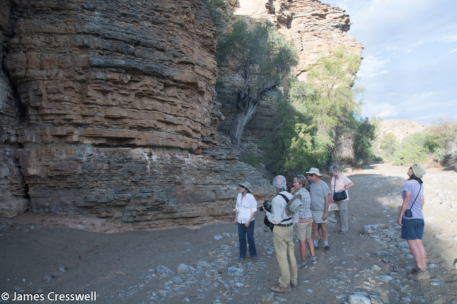 The ash layer just beneath the Namacalathas fossils which has allowed them to be dated as the oldest shell fossils in the world