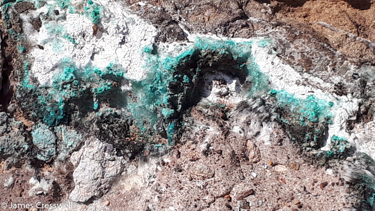 Copper mineralization at Zuha gossan fossil black smoker