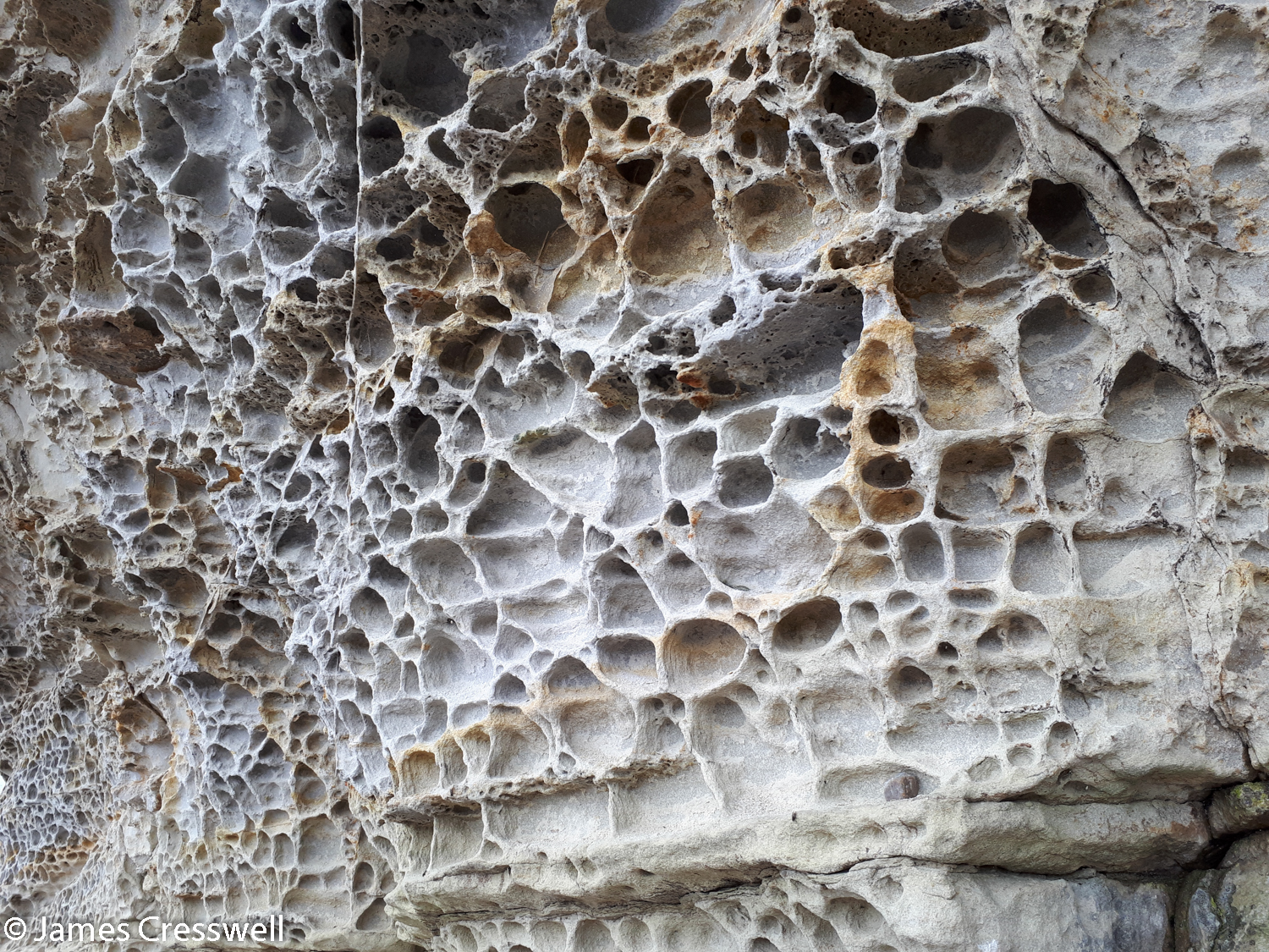 Honeycomb weathering in Jurassic sandstone at Elgol