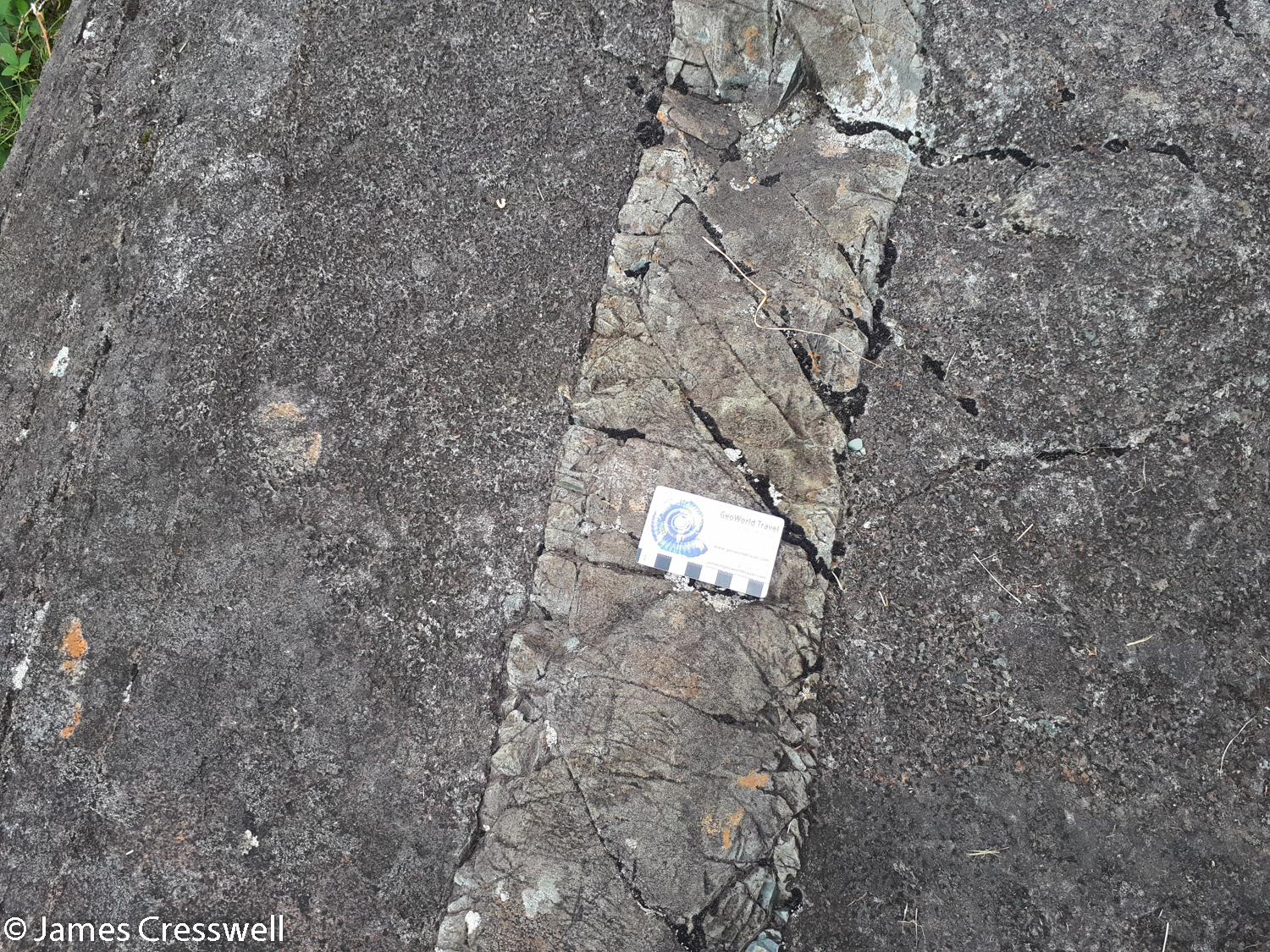 A dolerite dyke cutting the gabbro