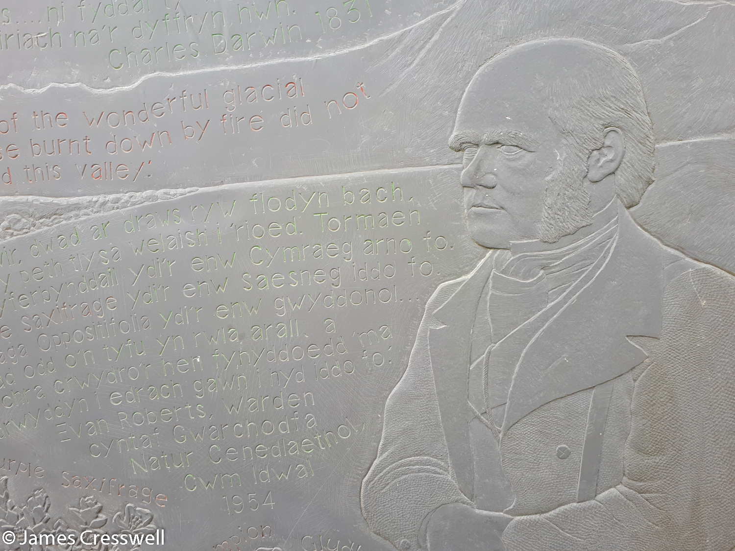 A plaque to Charles Darwin