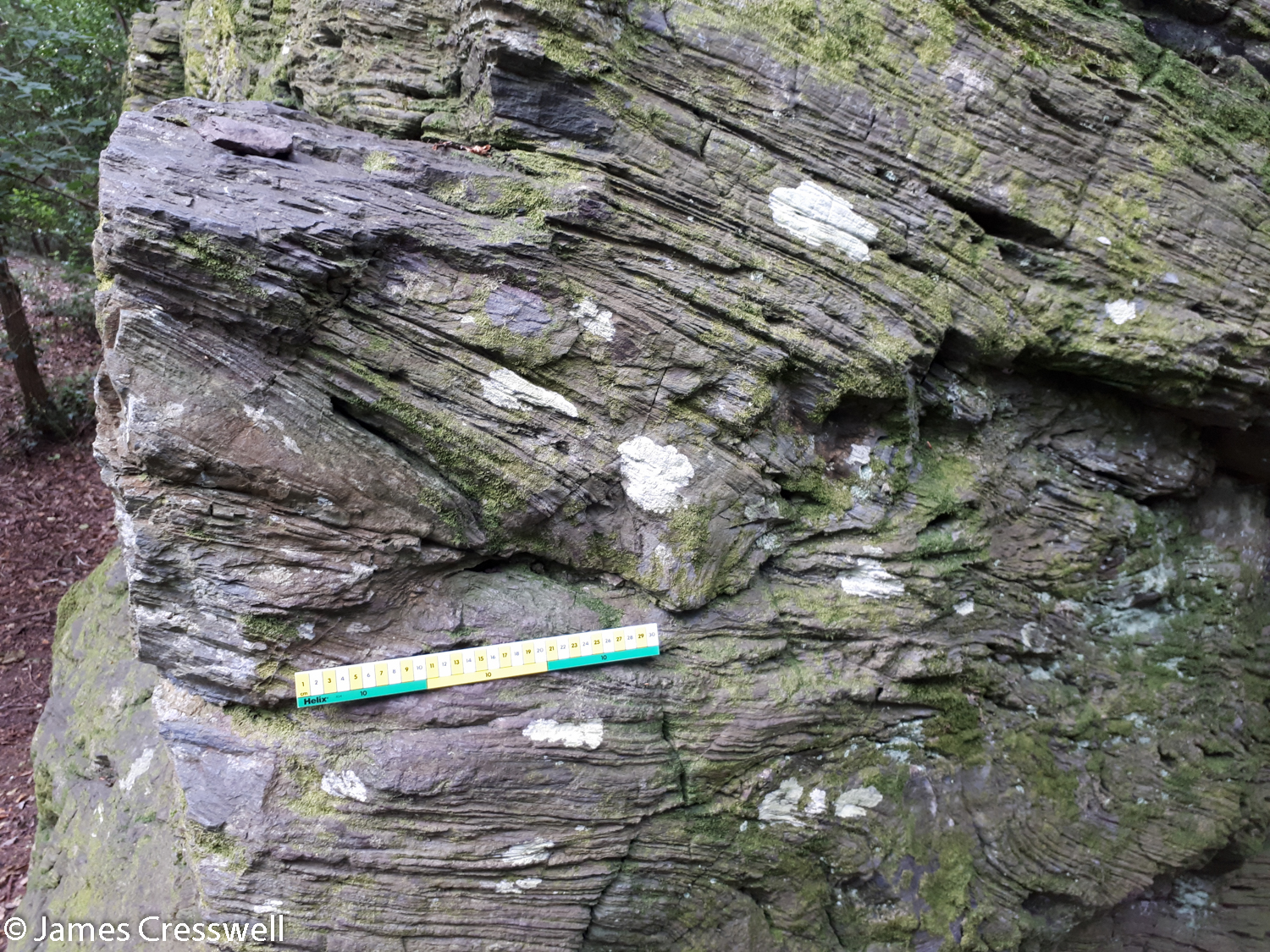 Blueschist rock