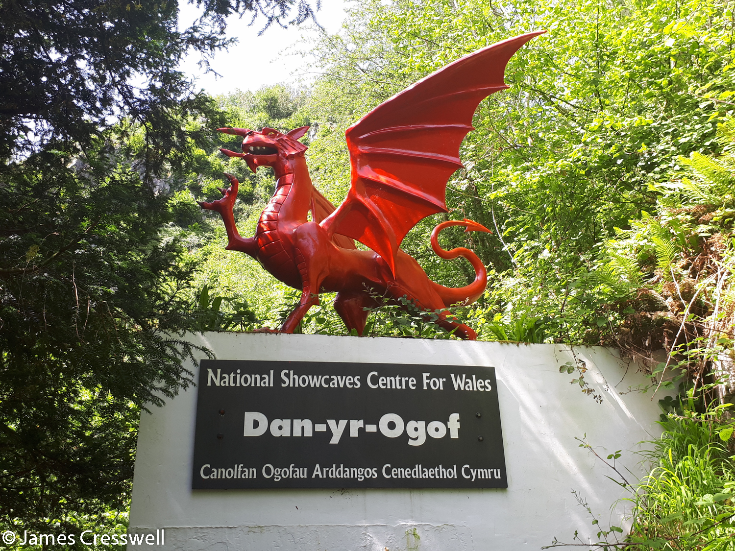 Dragon at entrance of the National Show Caves