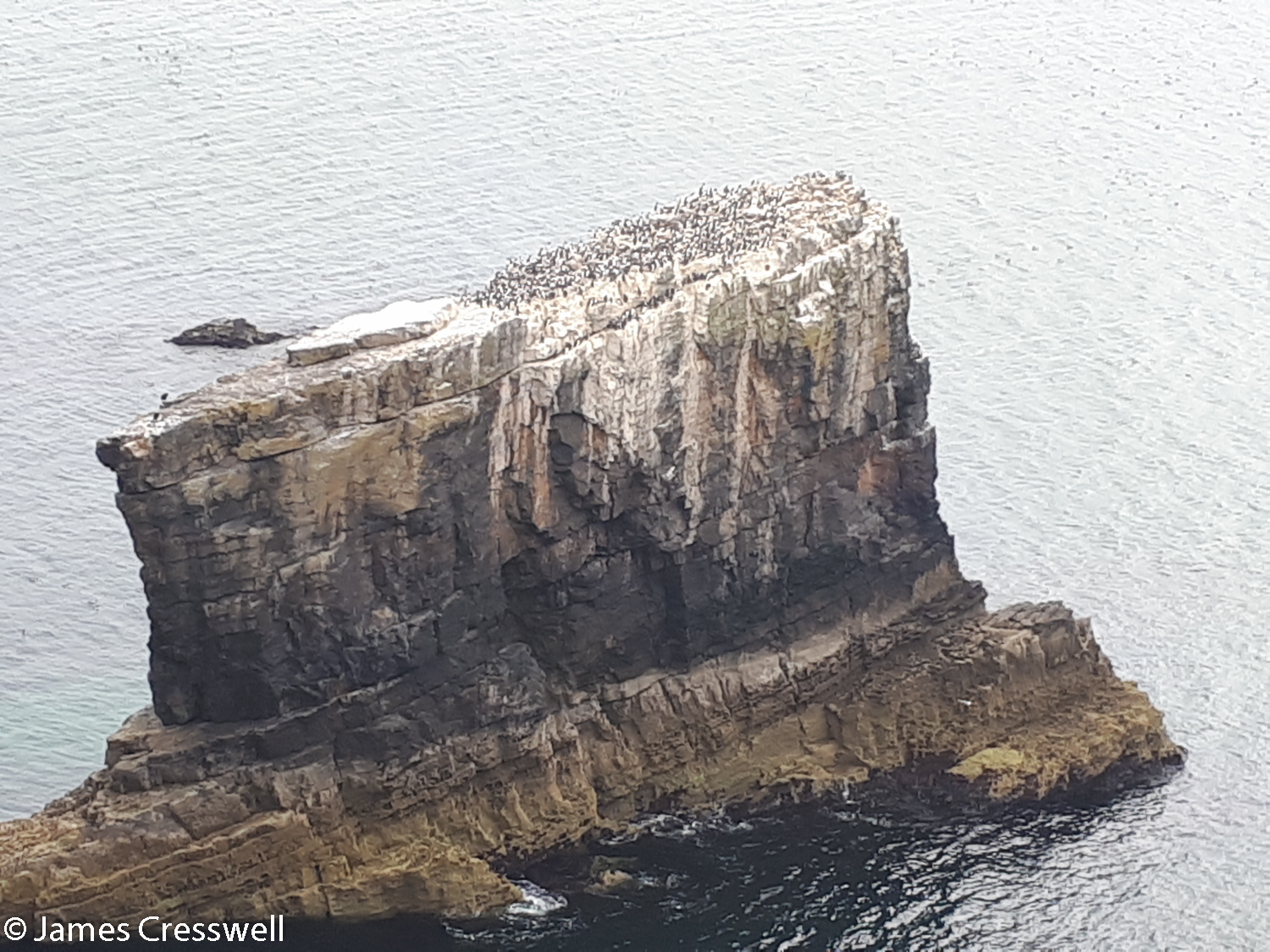 A sea stack