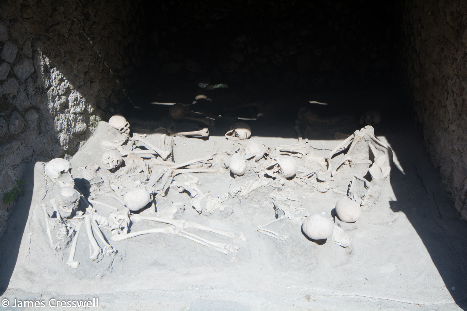 Skeletons in boat shed