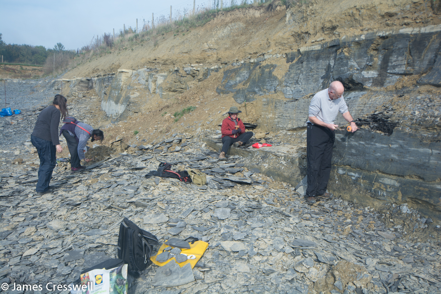 People finding fossils in a quarry