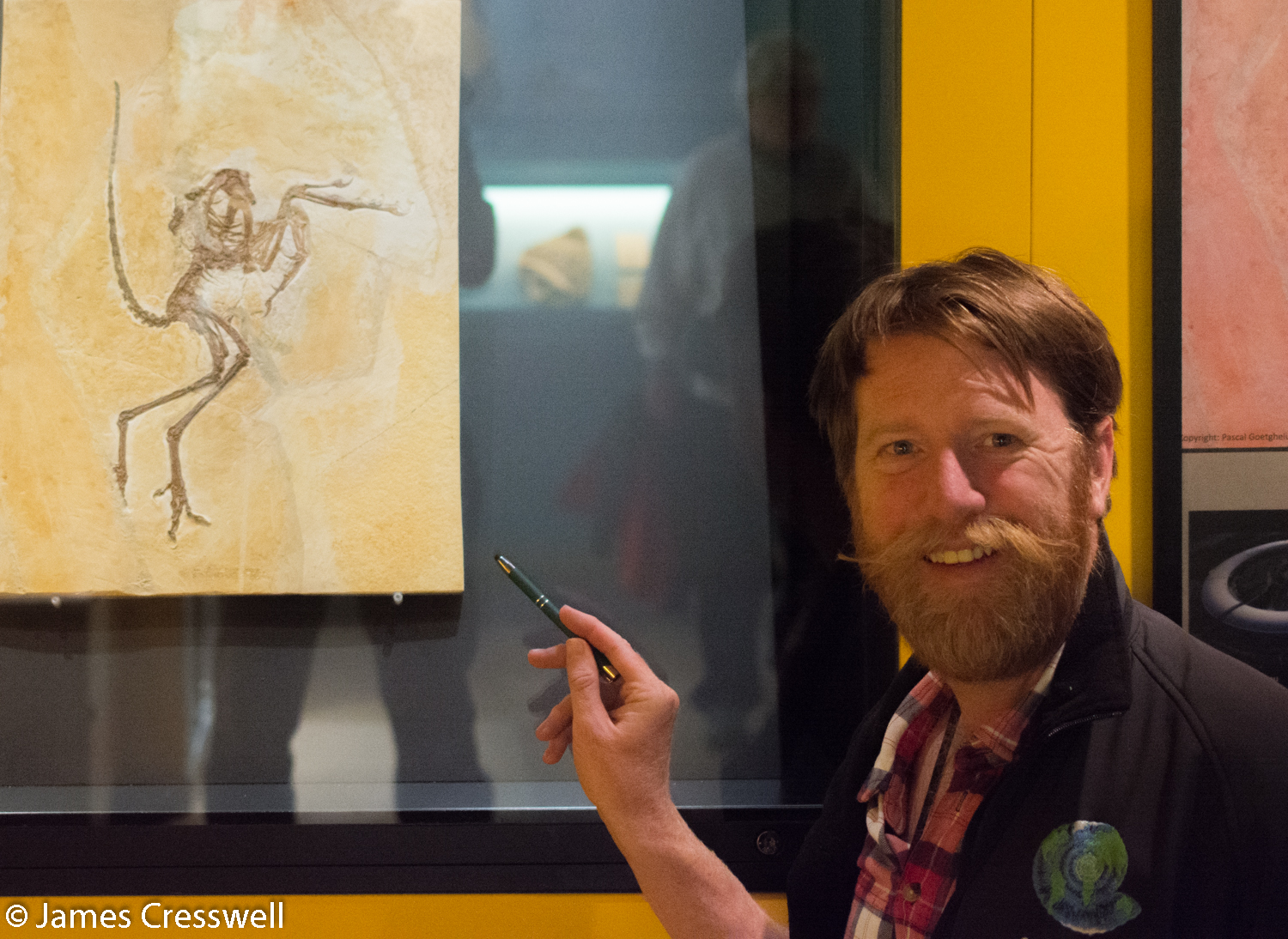 Man pointing at Archaeopteryx fossil