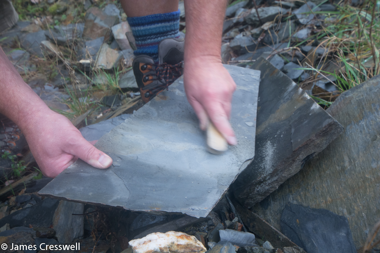 Brushing a suspected fossil in slate