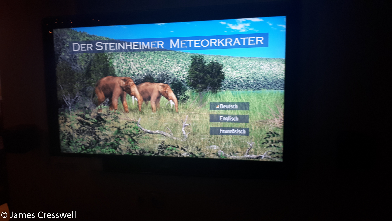 Screen from interpretation video