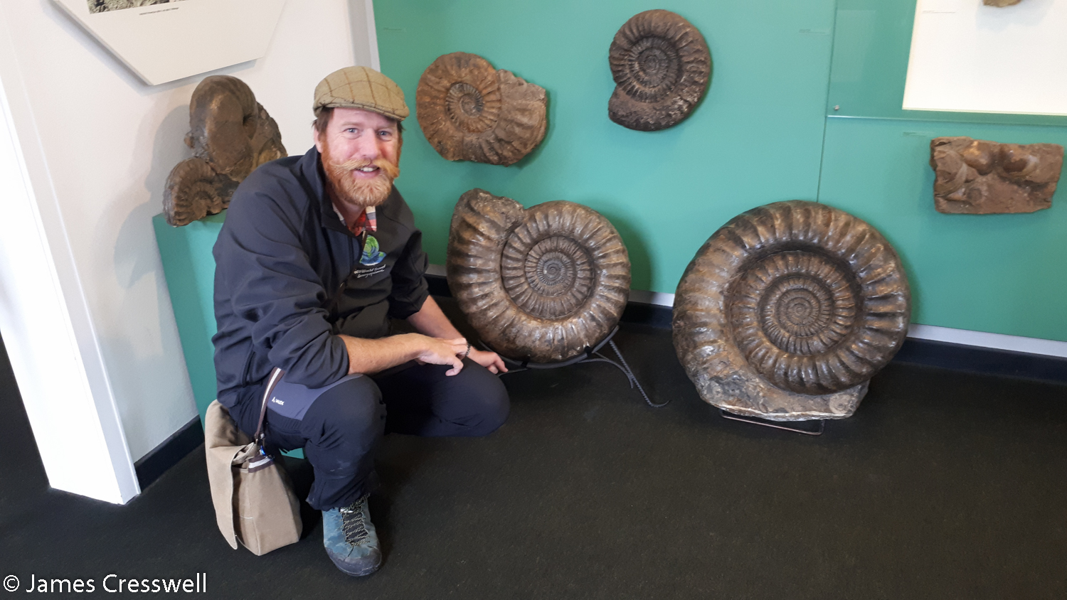 Man with ammonite fossils