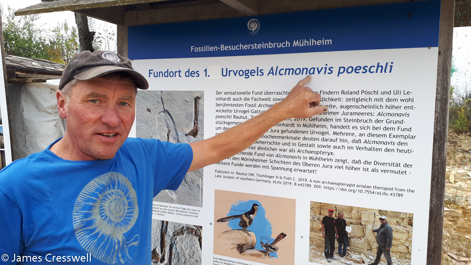 Man pointing at information board