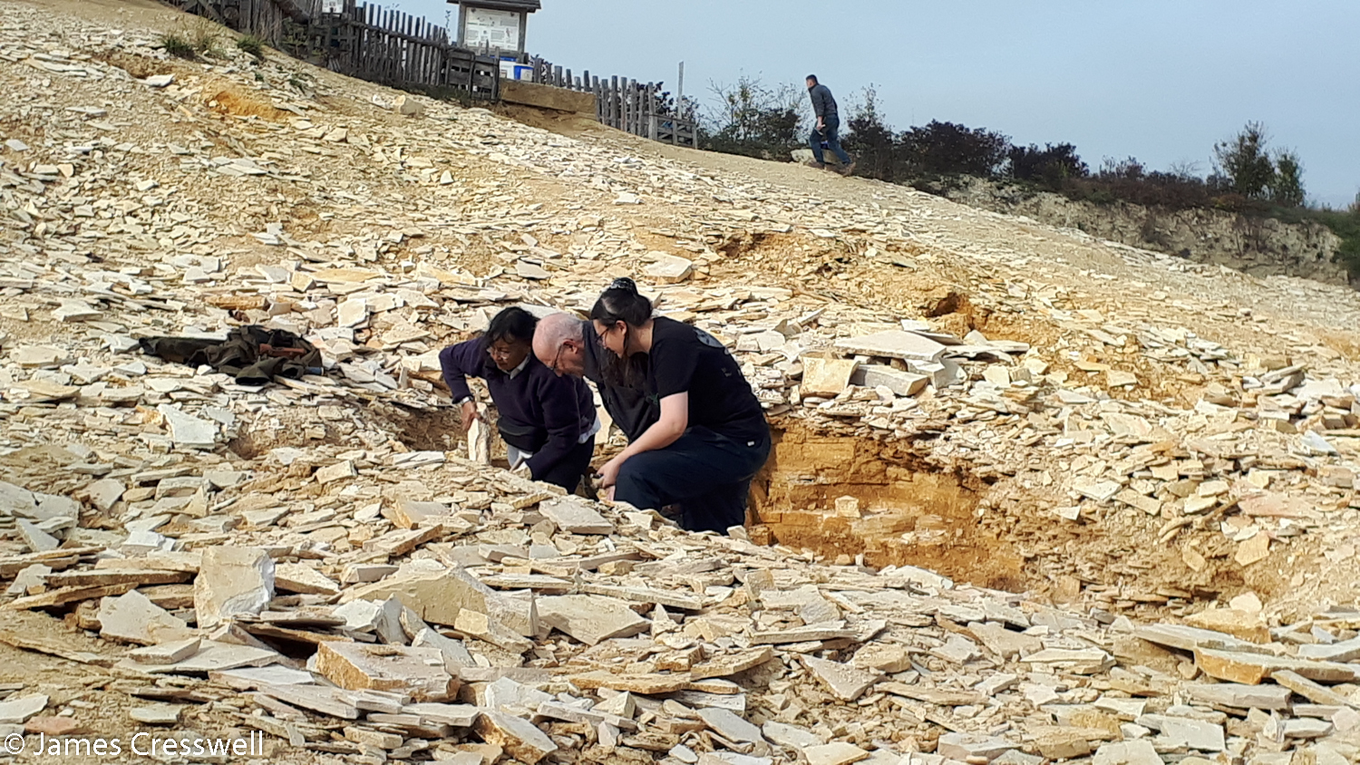 People looking for fossils