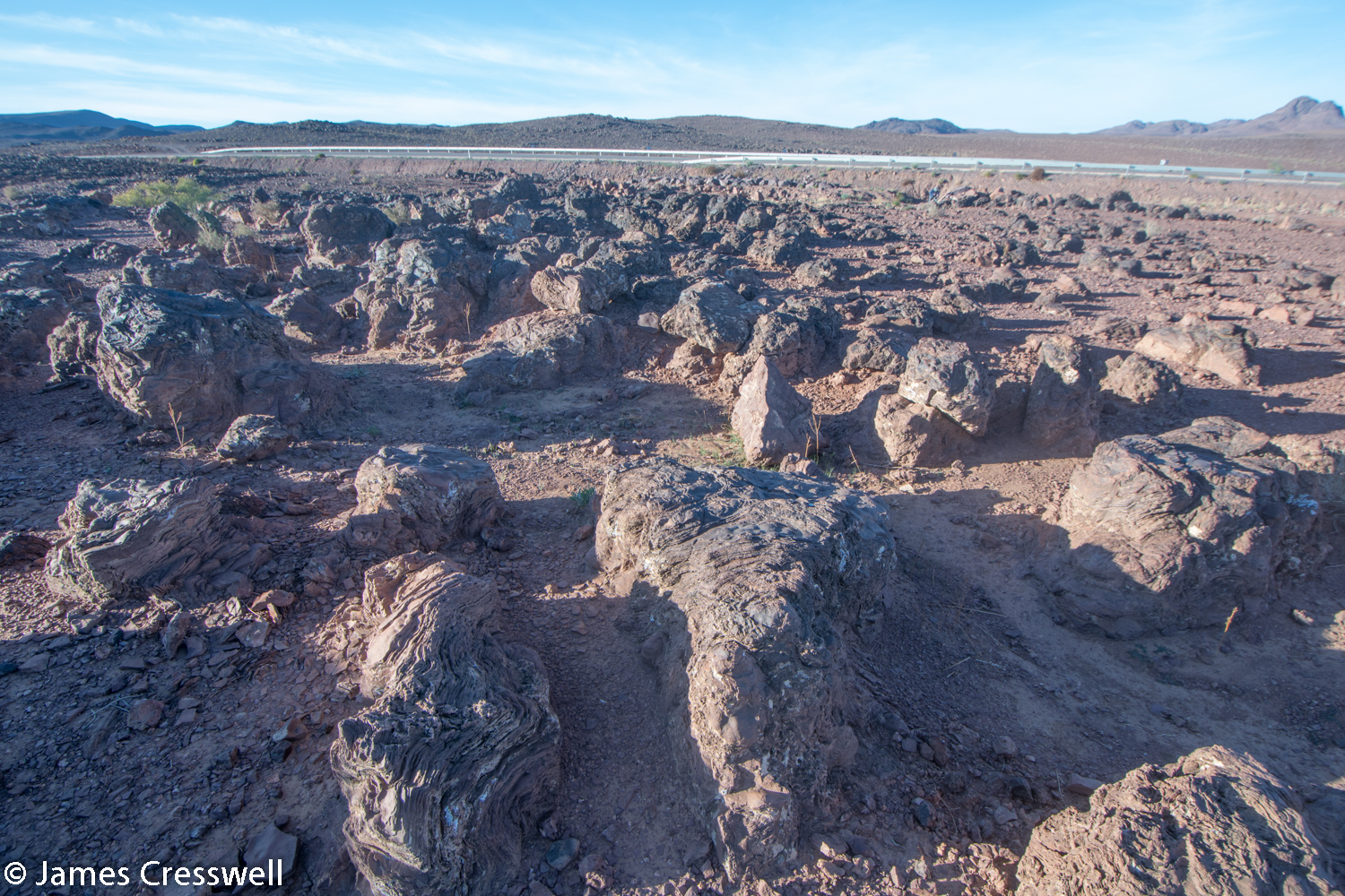 Uneven land surface with stromatolites standing proud