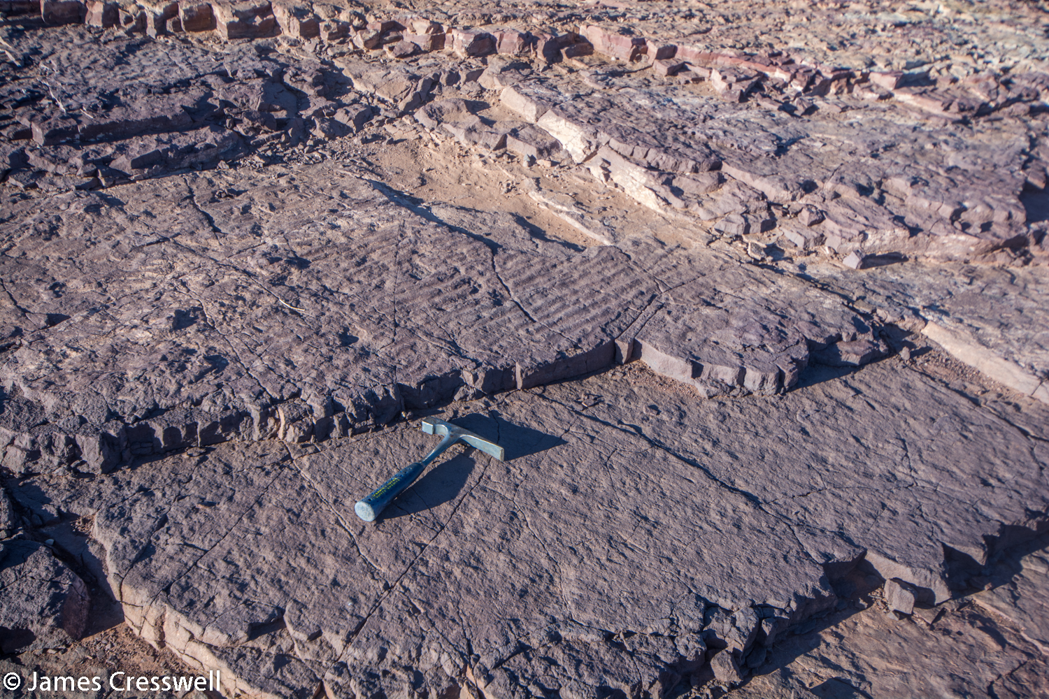 Ripples in surface of rock