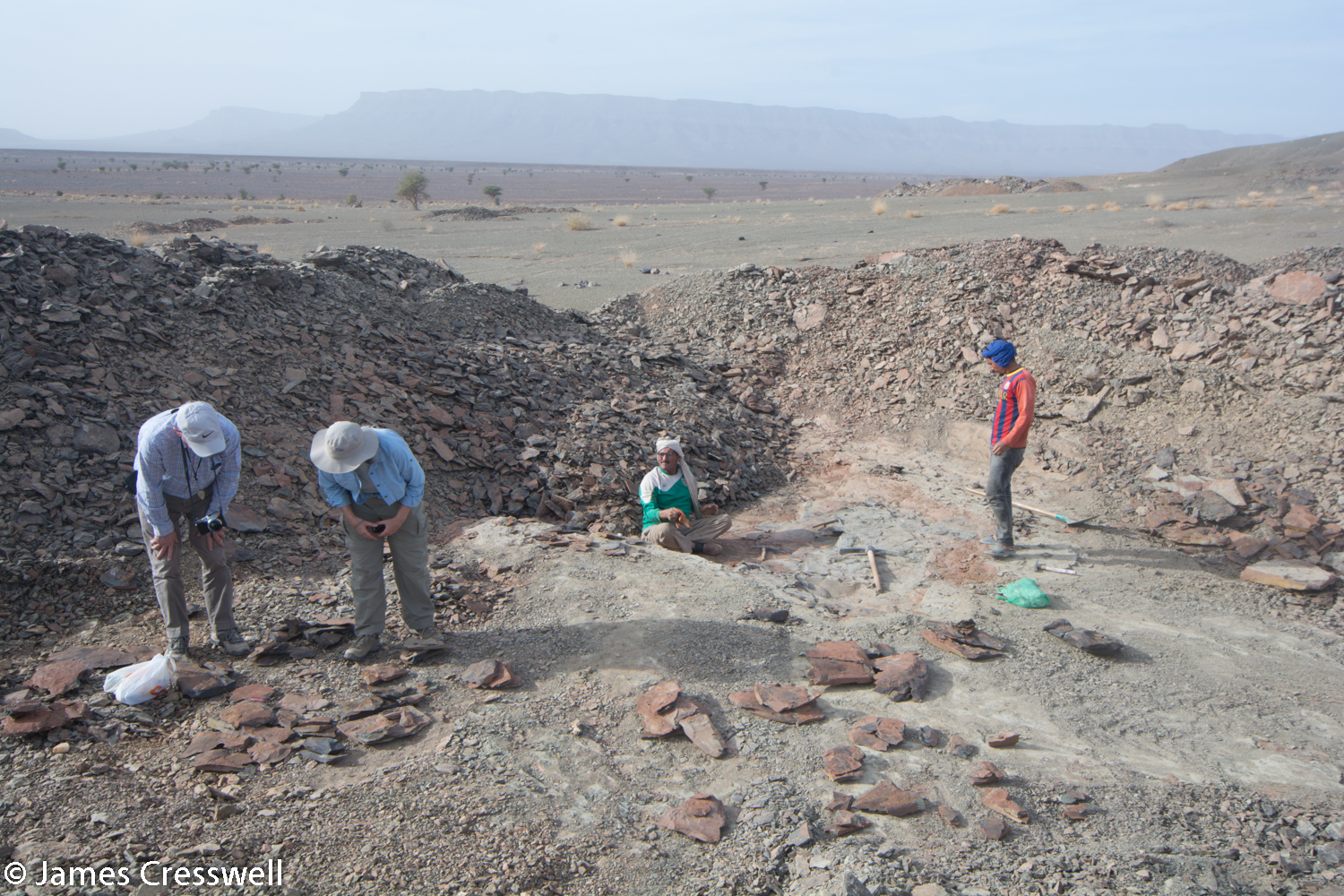 People in fossil diggings