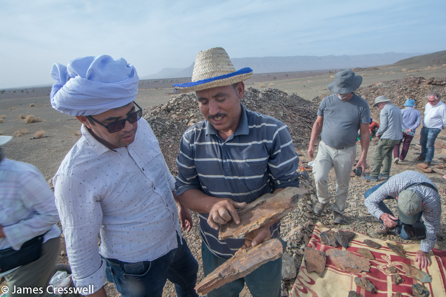Men looking at a fossil