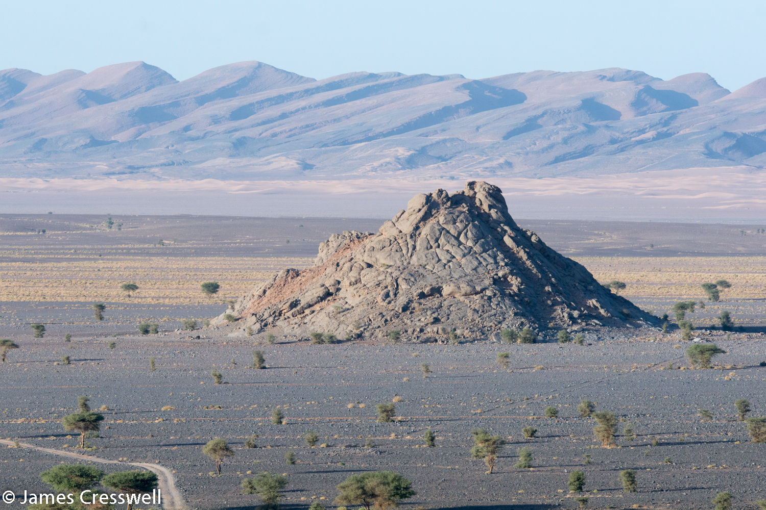 A hydrothermal mud mound or a bioherm