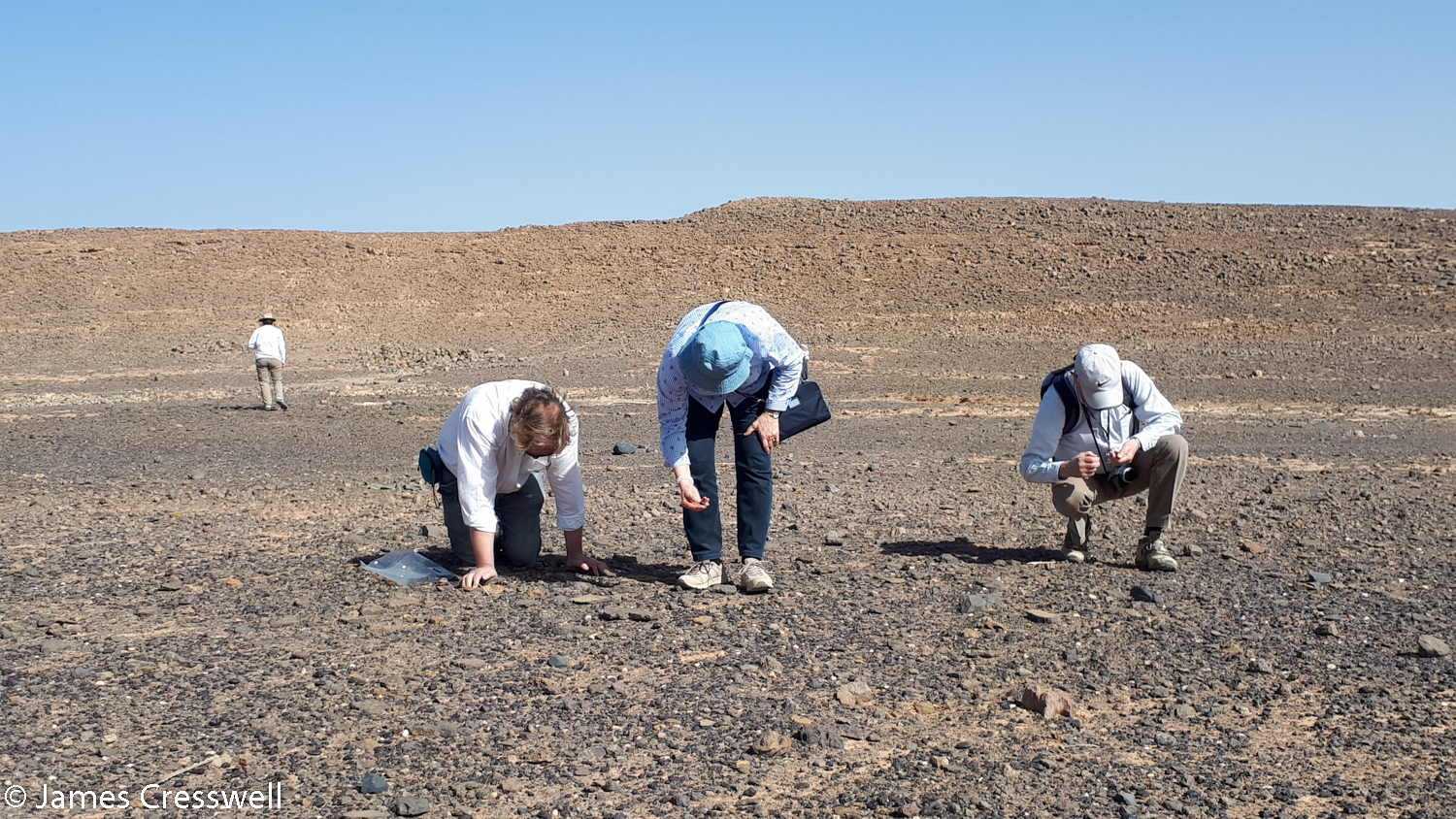 People searching for fossils