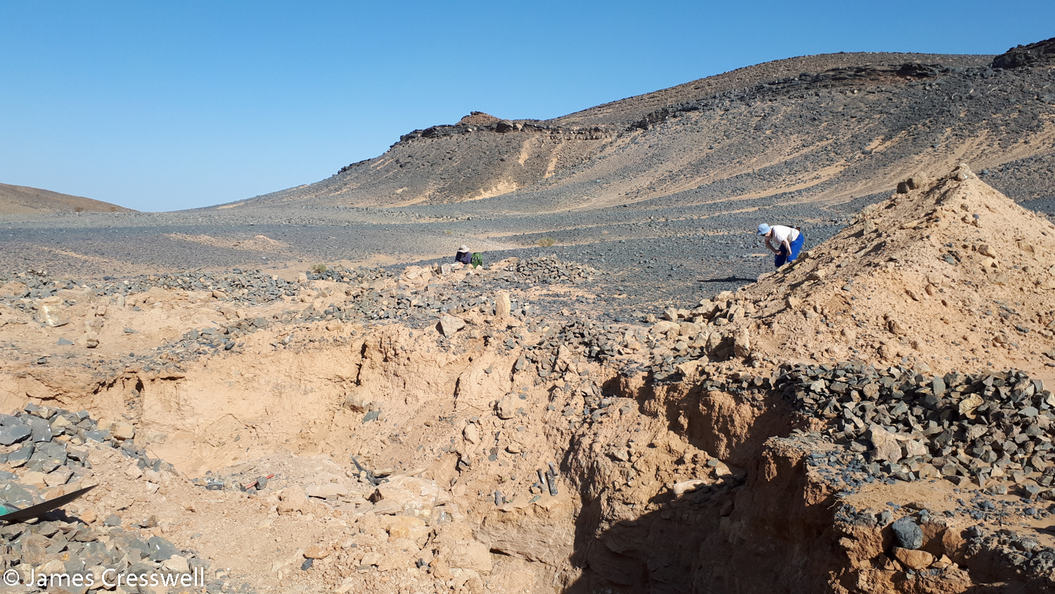 People looking for fossils in a desert landscape