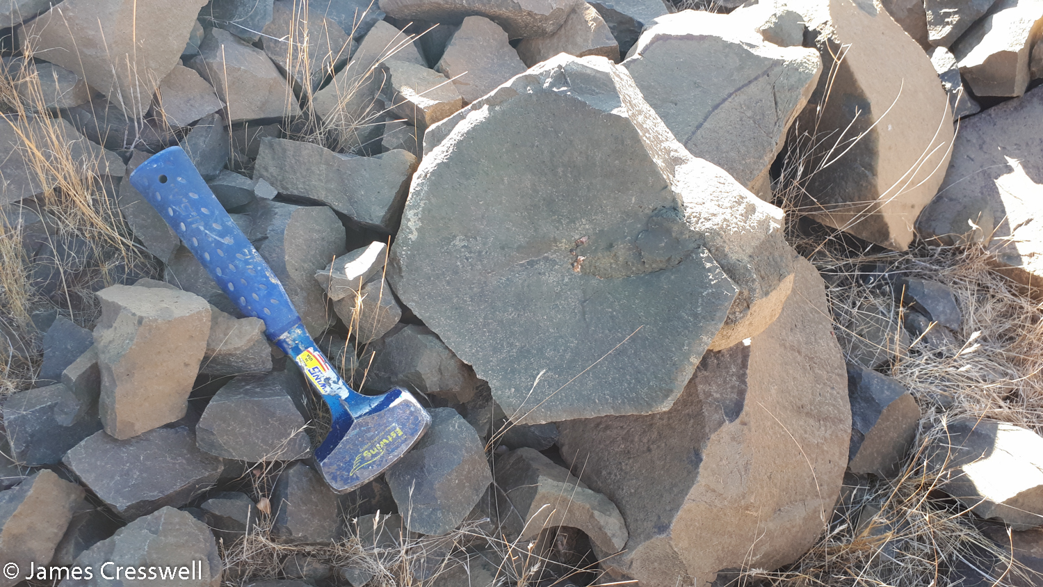 A rock block from a basalt cooling column