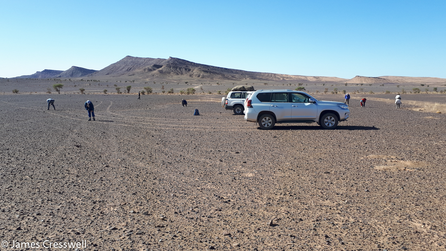 Vehicles in the desert