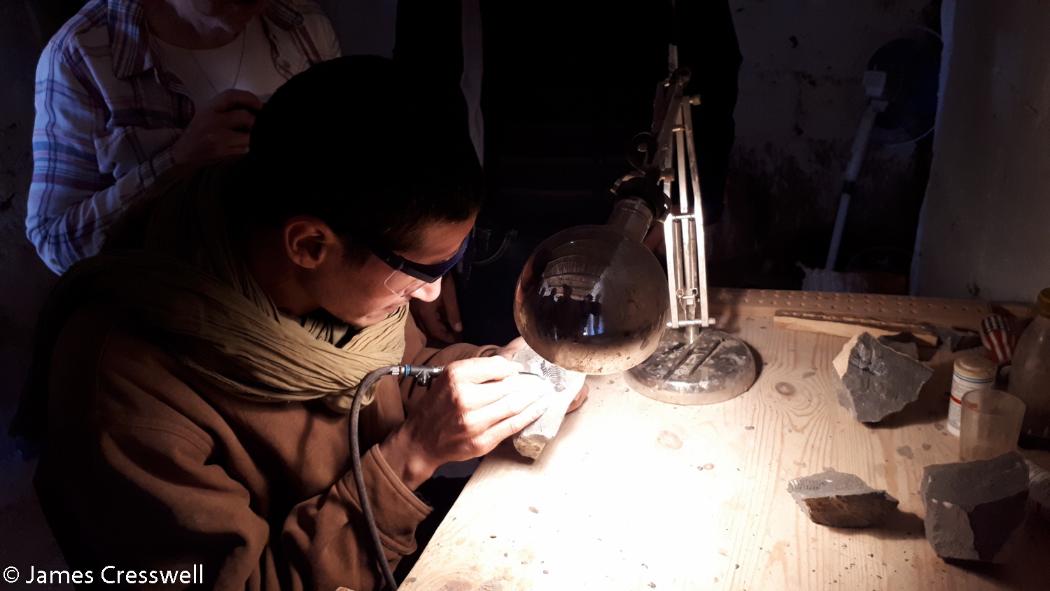 A fossil preparator at work