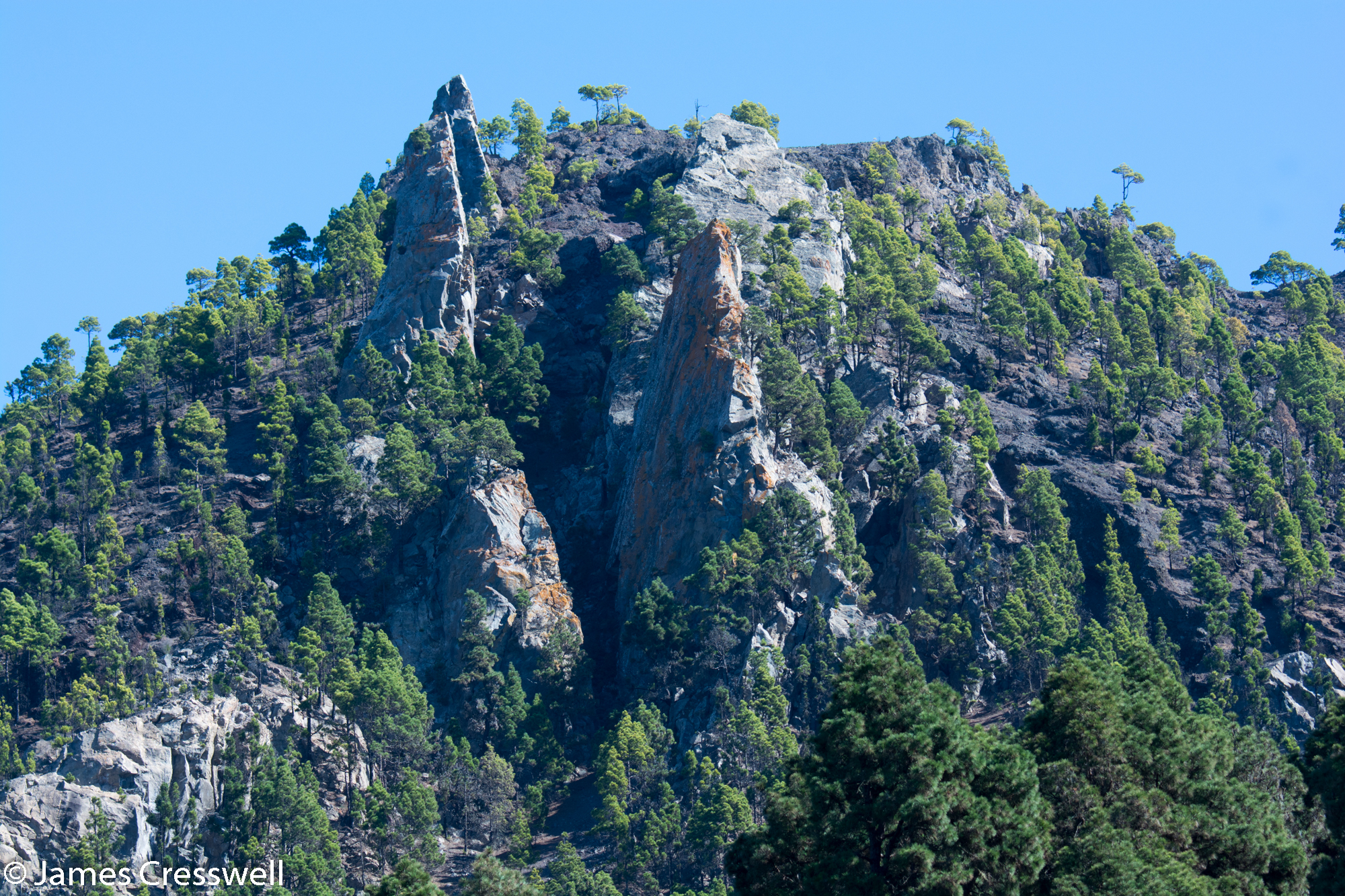 Trees on a rocky outcrop