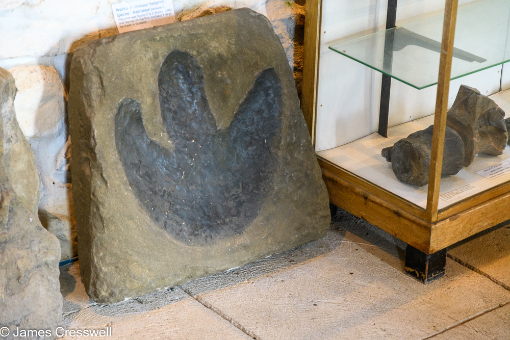 A dinosaur footprint