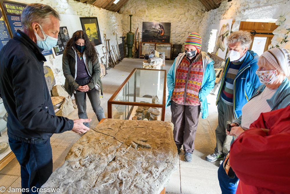 Five people listen to a man explain a dinosaur footprint fossil